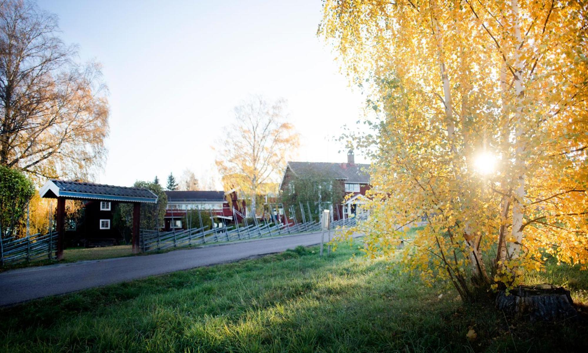 Akerblads Hotell Gaestgiveri Spa Tallberg Luaran gambar